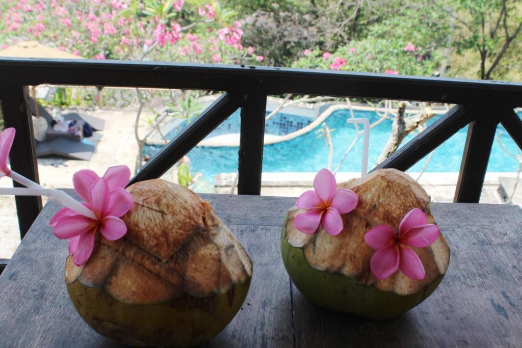 Lombok Coconut Hotel مانغْسيت المظهر الخارجي الصورة